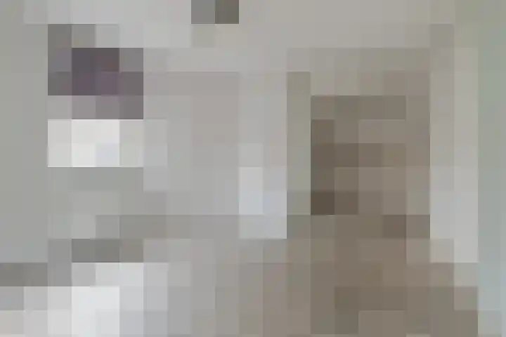 Tuinstraat 34 Zwolle thumbnail 8