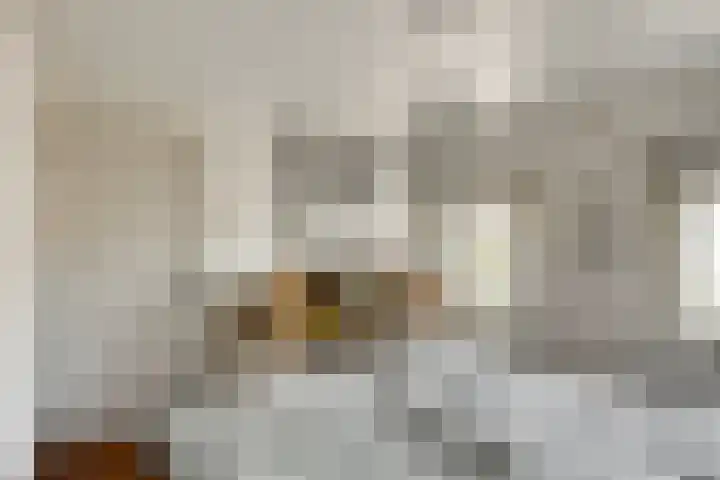 Tuinstraat 35 Den Dungen thumbnail 16