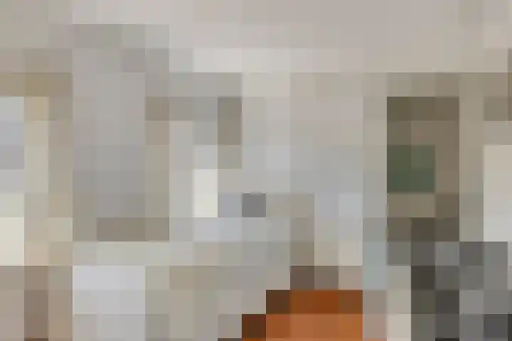 Tuinstraat 35 Den Dungen thumbnail 20