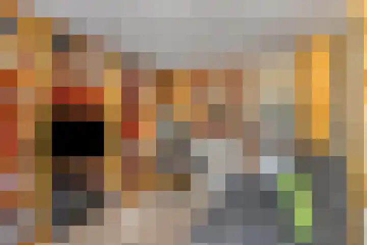 Tuinstraat 35 Den Dungen thumbnail 22
