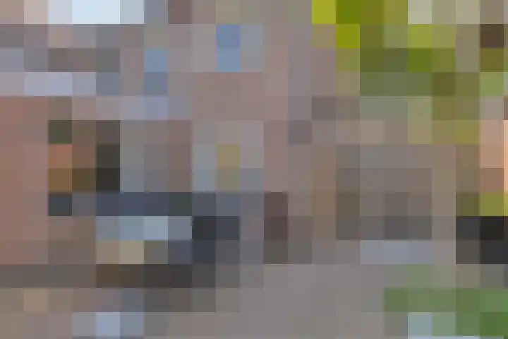 Tuinstraat 35 Den Dungen thumbnail 25