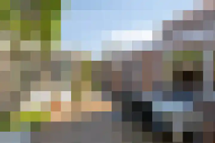 Tuinstraat 35 Den Dungen thumbnail 26