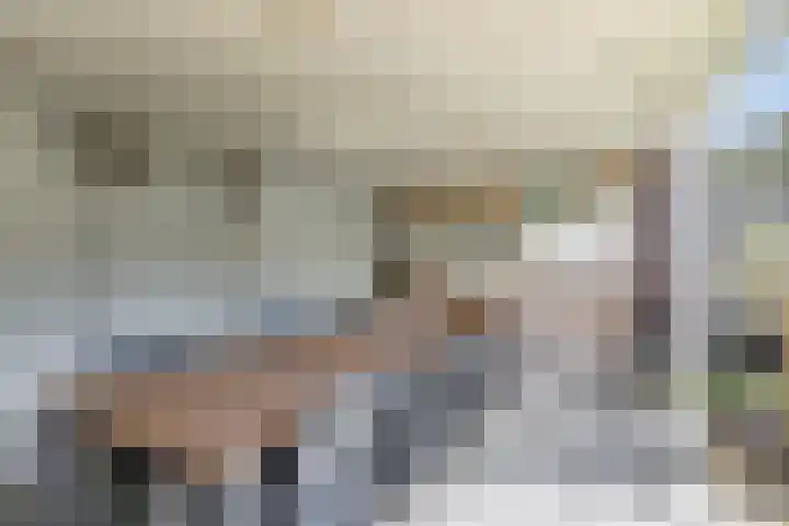 Tuinstraat 35 Den Dungen thumbnail 29