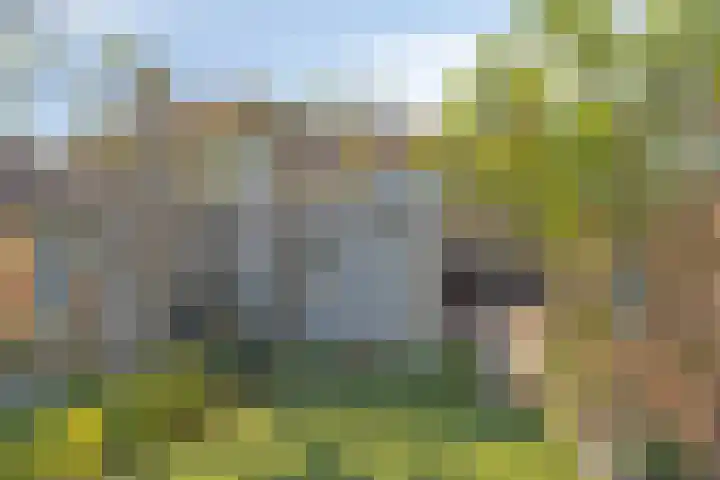 Tuinstraat 35 Den Dungen thumbnail 31