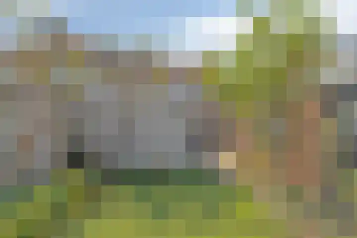 Tuinstraat 35 Den Dungen thumbnail 32