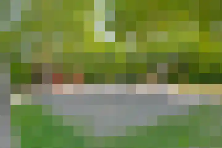 Tuinstraat 35 Den Dungen thumbnail 34