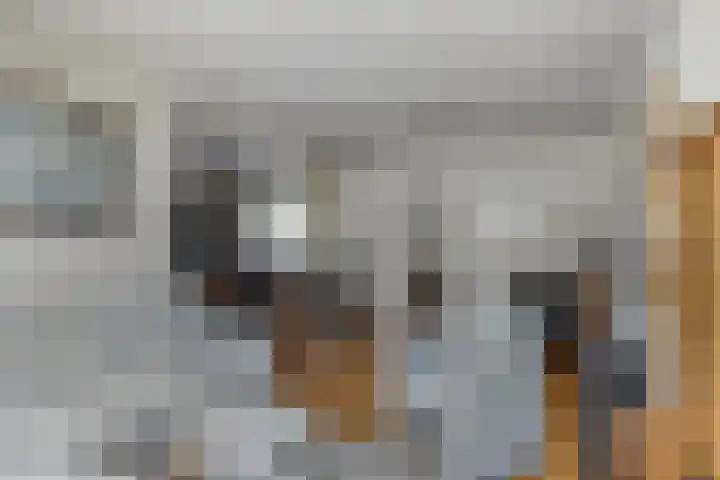 Tuinstraat 35 Den Dungen thumbnail 5
