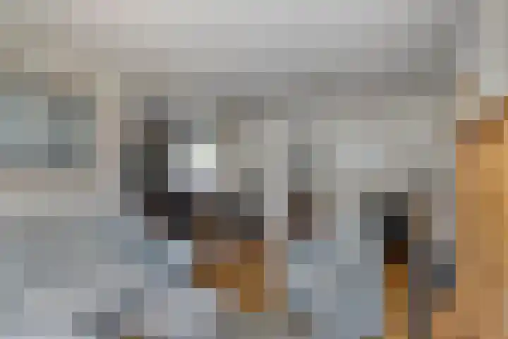 Tuinstraat 35 Den Dungen thumbnail 6