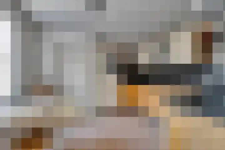 Tuinstraat 35 Den Dungen thumbnail 9