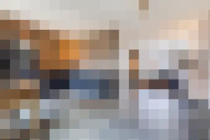 Tuinstraat 35 Echt thumbnail 22