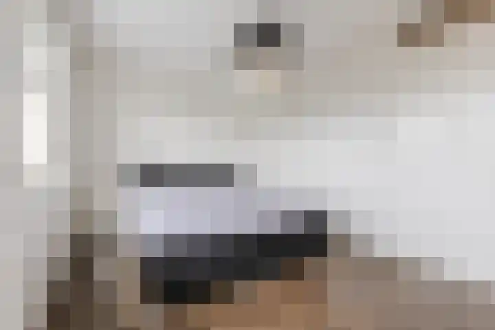 Tuinstraat 35 Echt thumbnail 26
