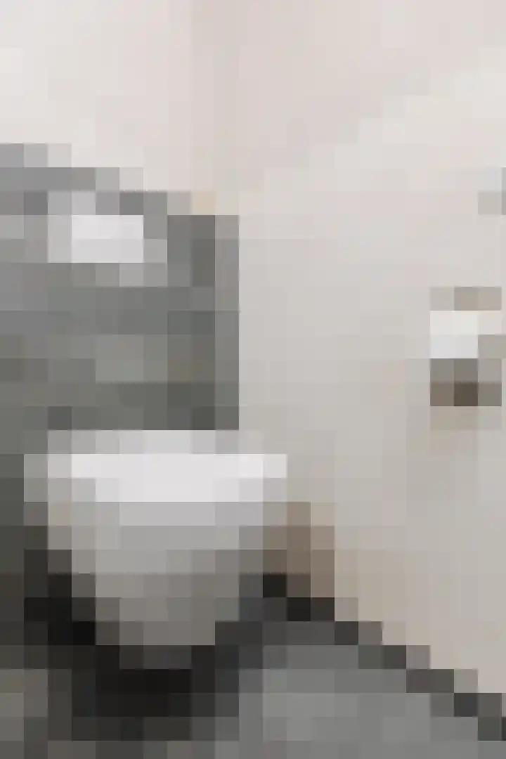Tuinstraat 35 Echt thumbnail 34