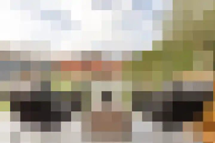 Tuinstraat 35 Echt thumbnail 38