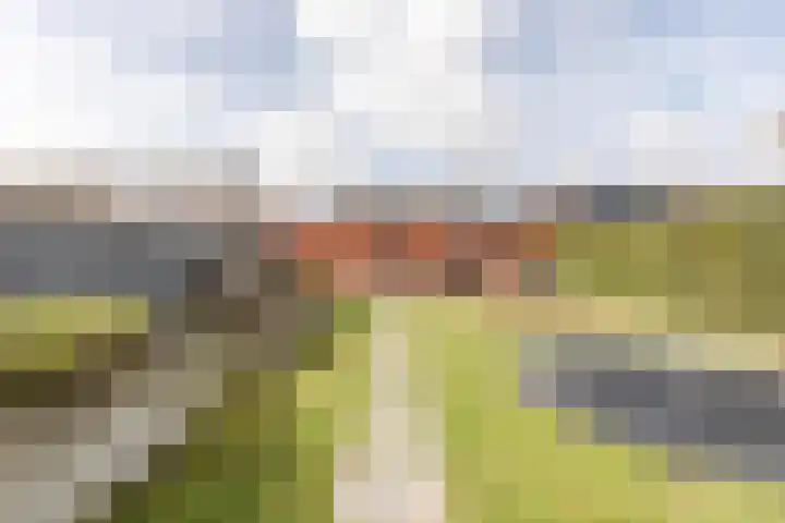Tuinstraat 35 Echt thumbnail 39