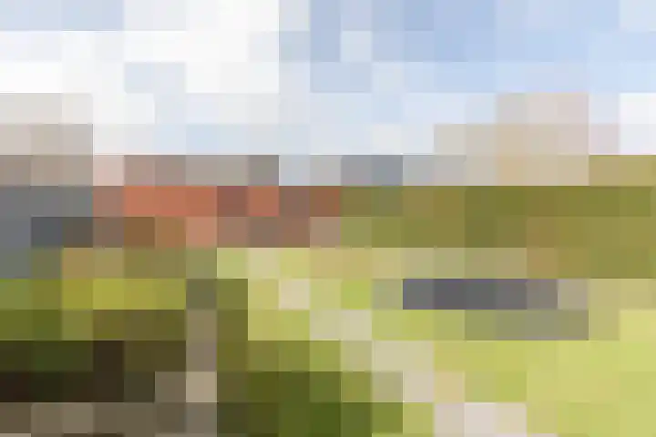 Tuinstraat 35 Echt thumbnail 40