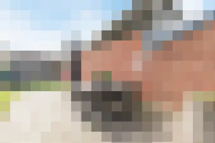 Tuinstraat 35 Echt thumbnail 41