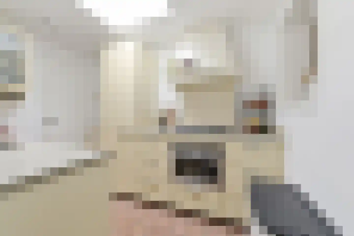 Tuinstraat 36 Delft thumbnail 11