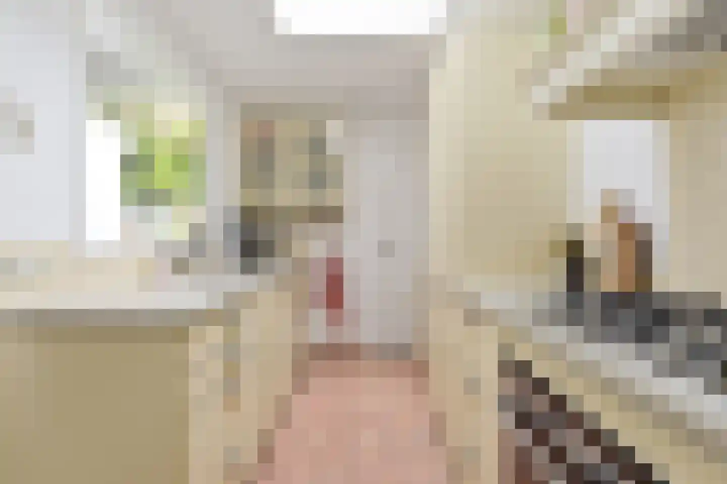 Tuinstraat 36 Delft thumbnail 13