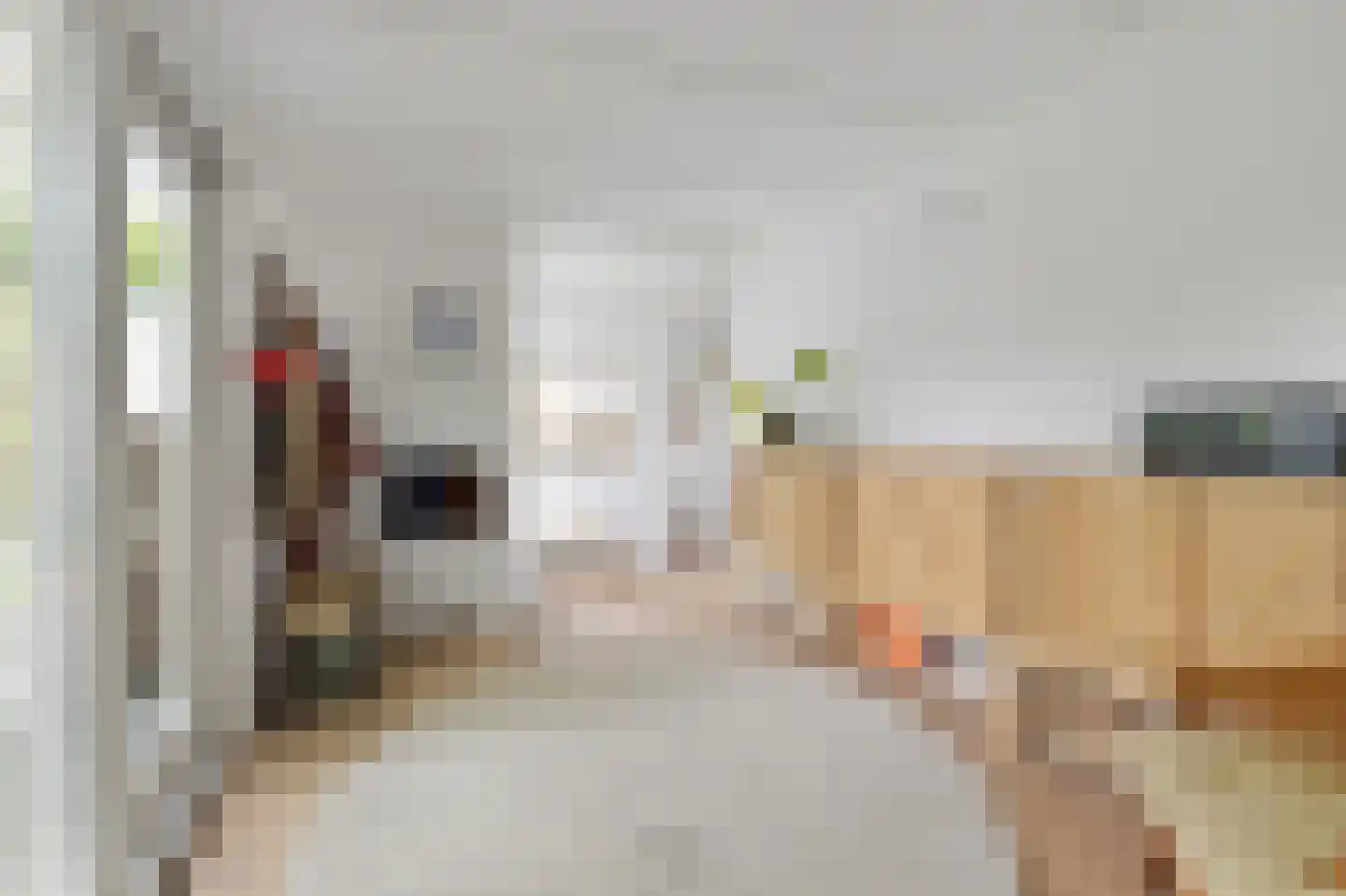 Tuinstraat 36 Delft thumbnail 15