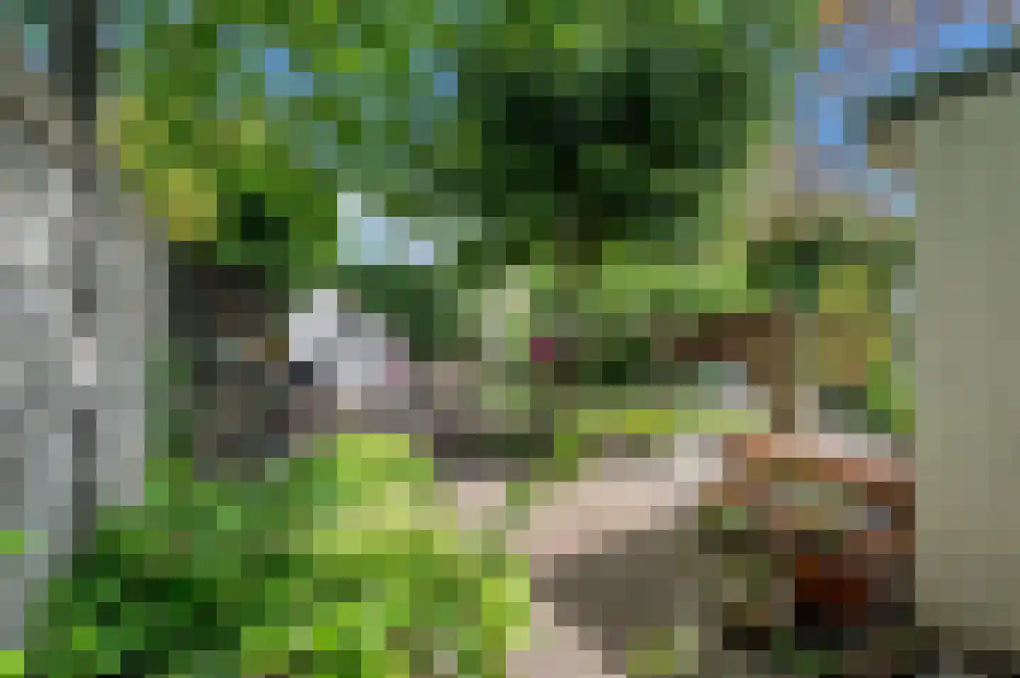 Tuinstraat 36 Delft thumbnail 17