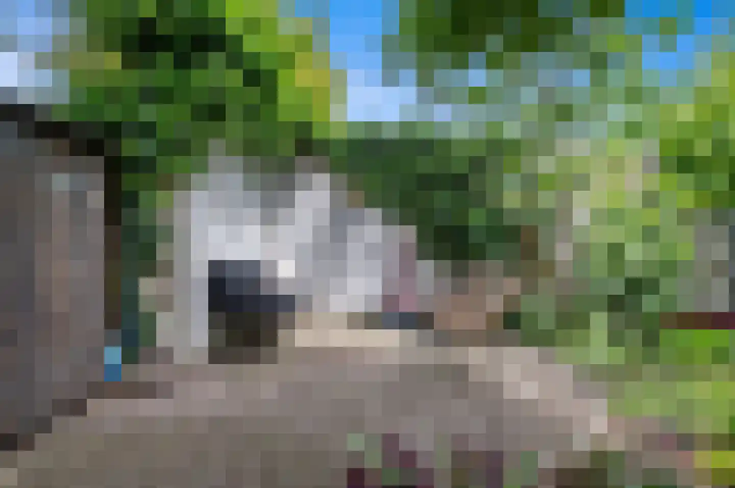 Tuinstraat 36 Delft thumbnail 18