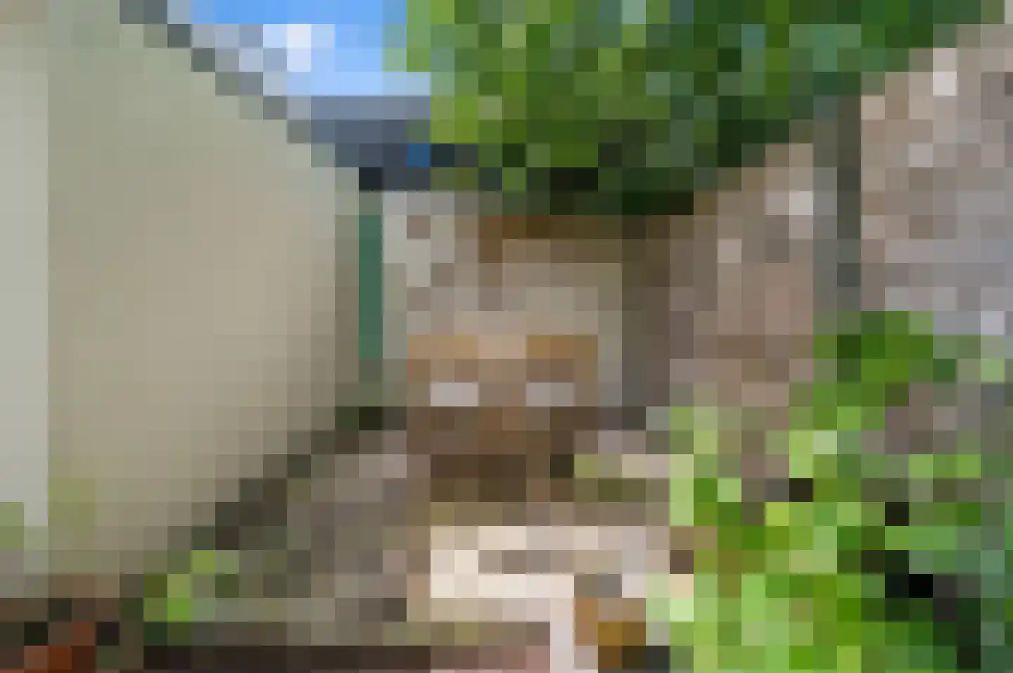 Tuinstraat 36 Delft thumbnail 21