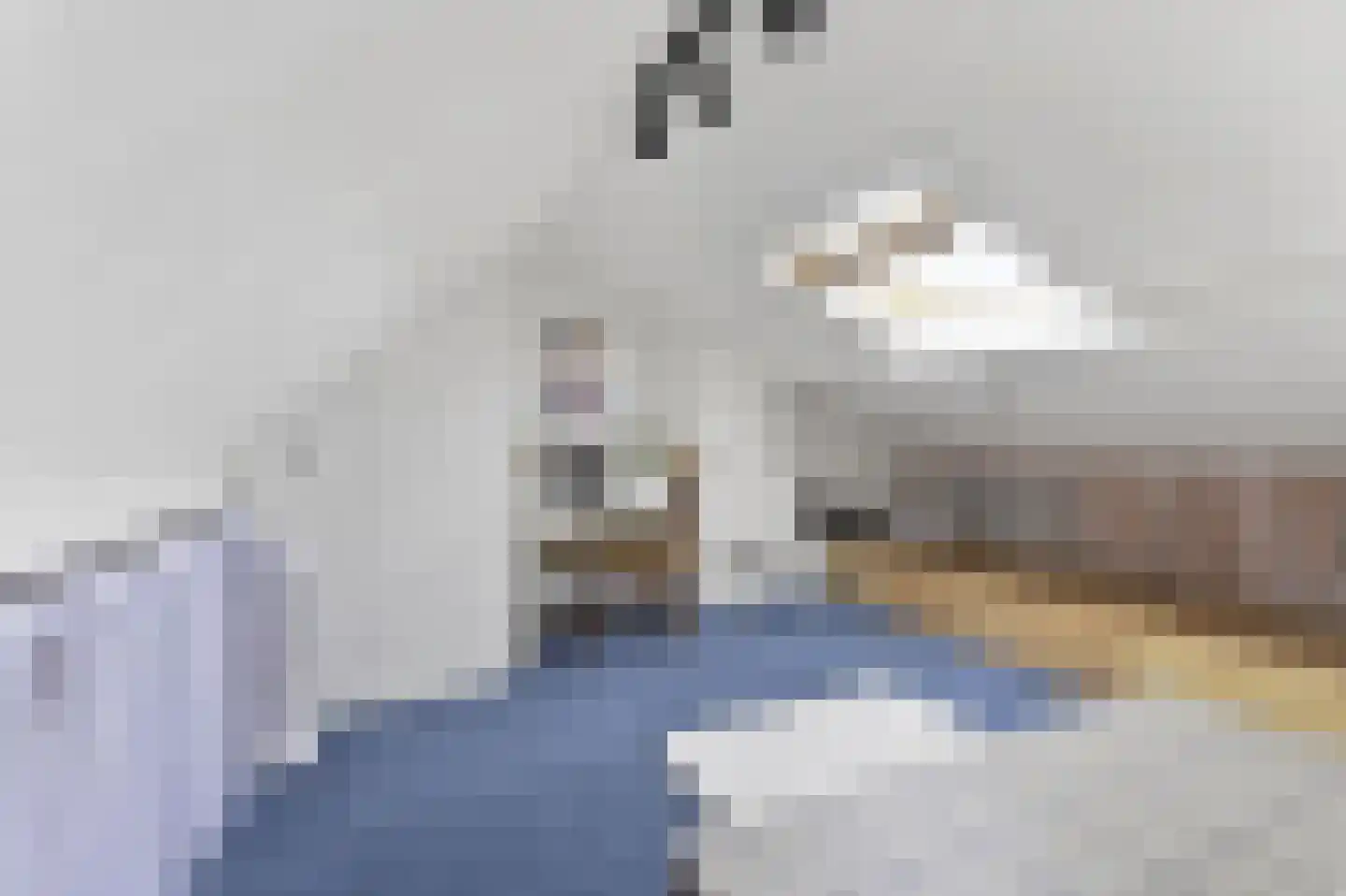 Tuinstraat 36 Delft thumbnail 32