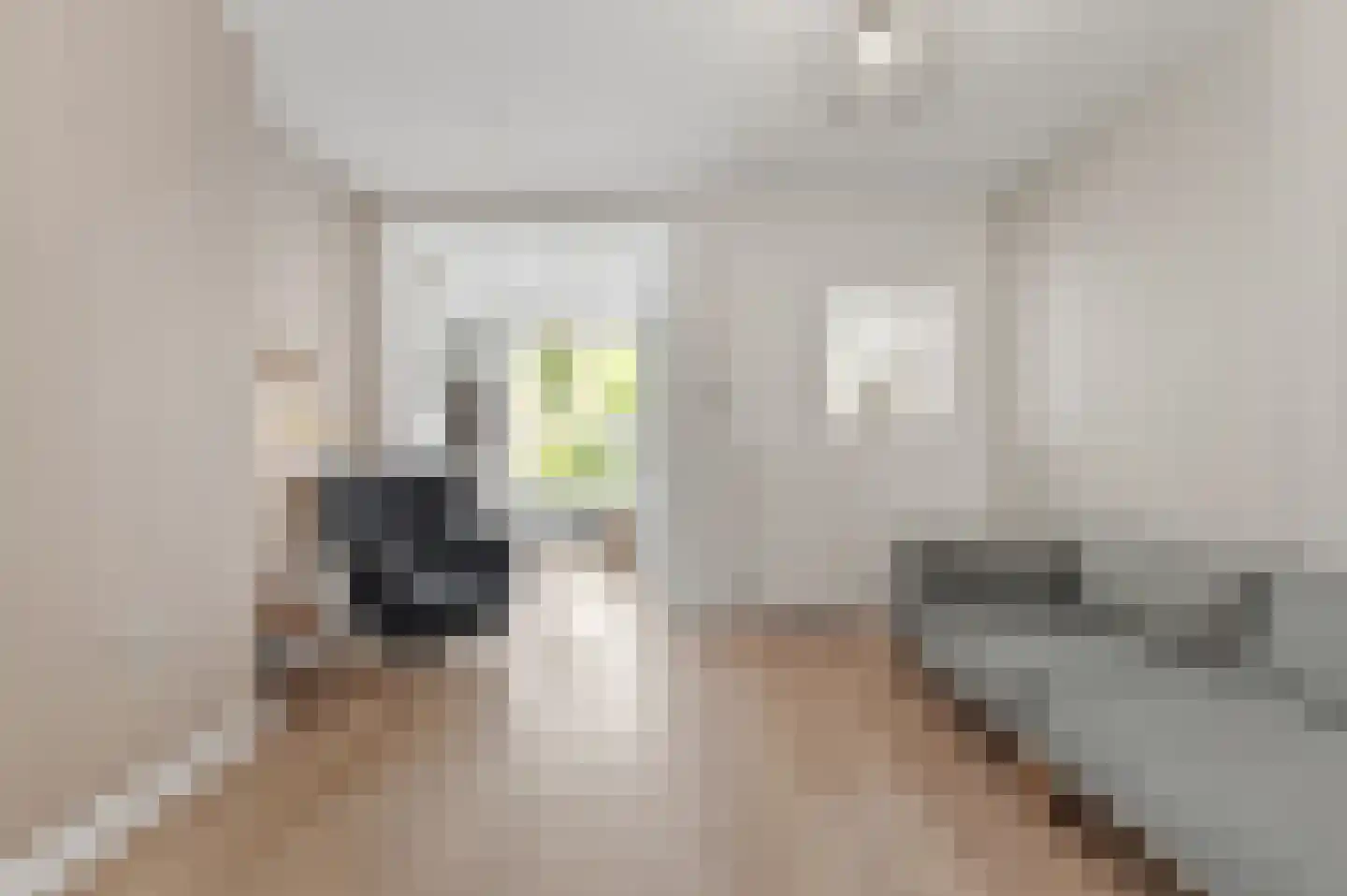 Tuinstraat 36 Delft thumbnail 8