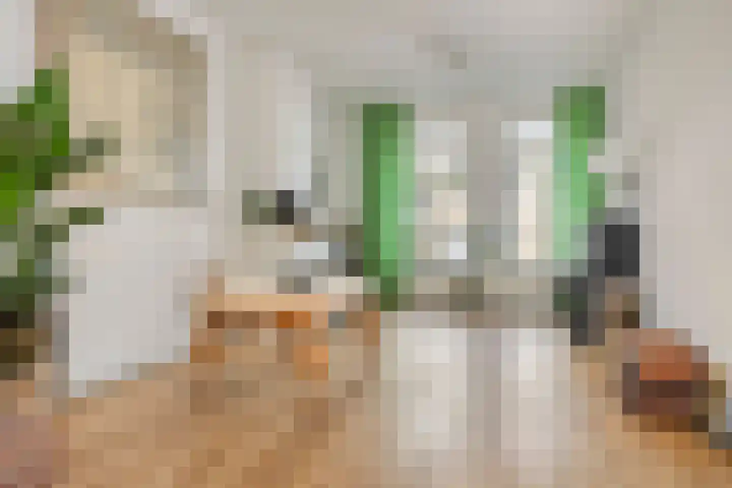 Tuinstraat 36 Tilburg thumbnail 25