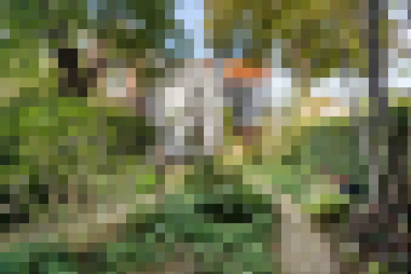 Tuinstraat 36 Tilburg thumbnail 42