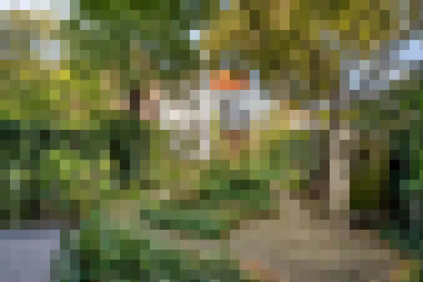 Tuinstraat 36 Tilburg thumbnail 43