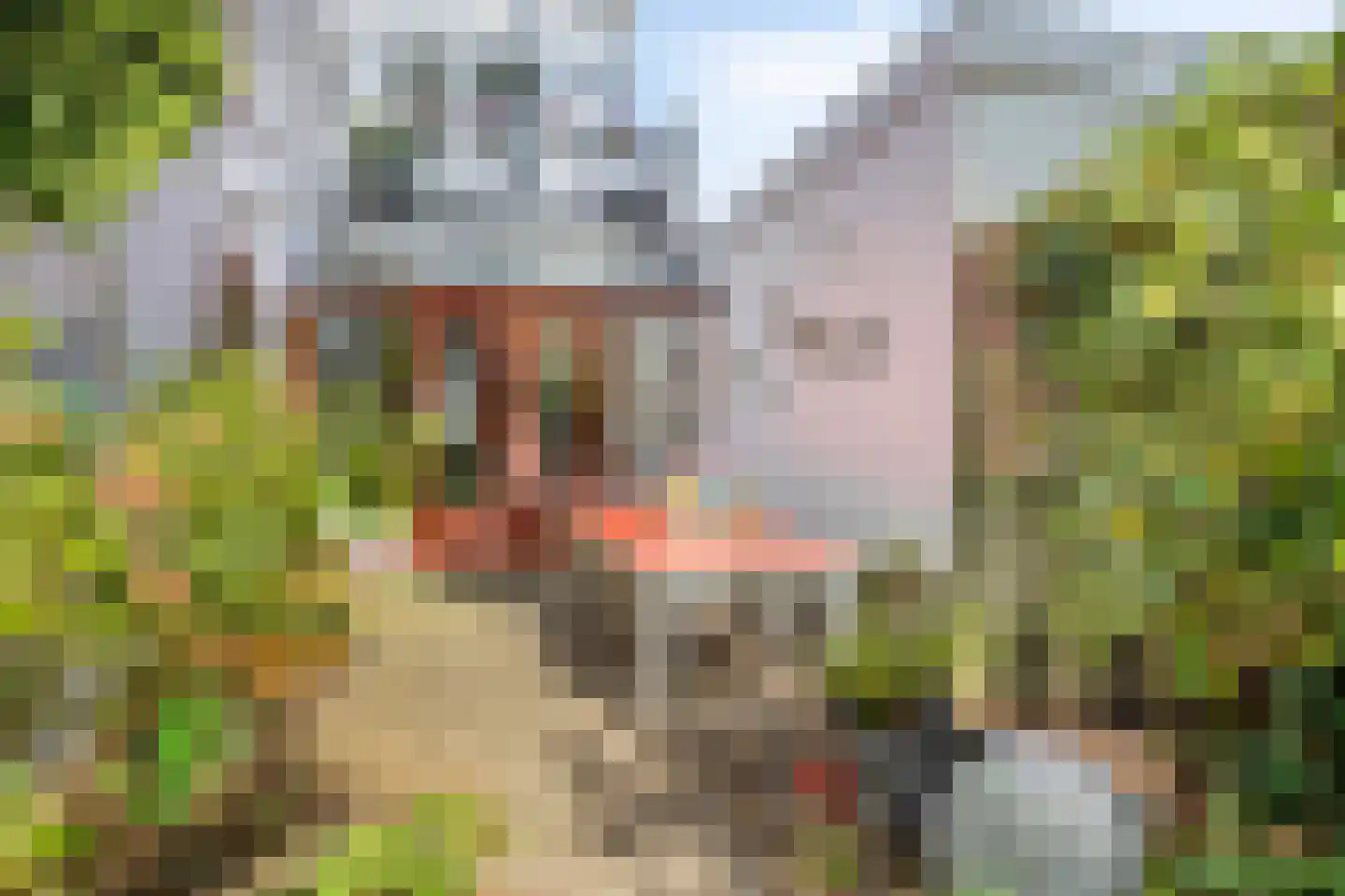 Tuinstraat 36 Tilburg thumbnail 44
