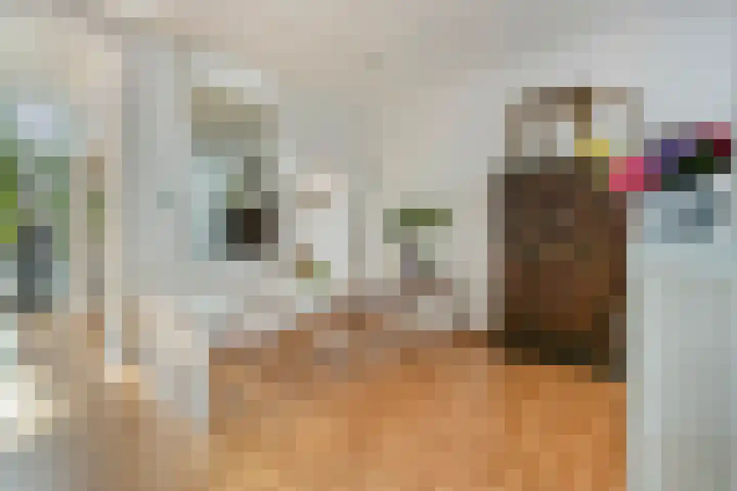 Tuinstraat 36 Tilburg thumbnail 6
