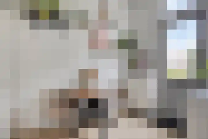Tuinstraat 37 a Groningen thumbnail 11