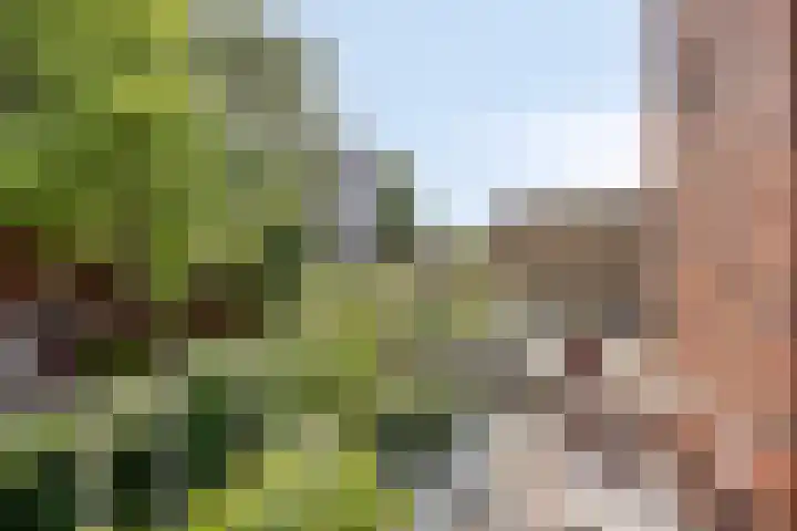 Tuinstraat 37 a Groningen thumbnail 15