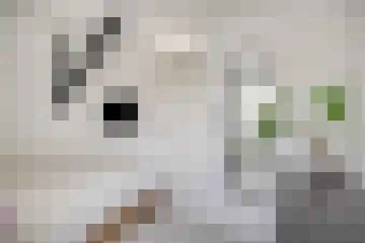 Tuinstraat 37 a Groningen thumbnail 20