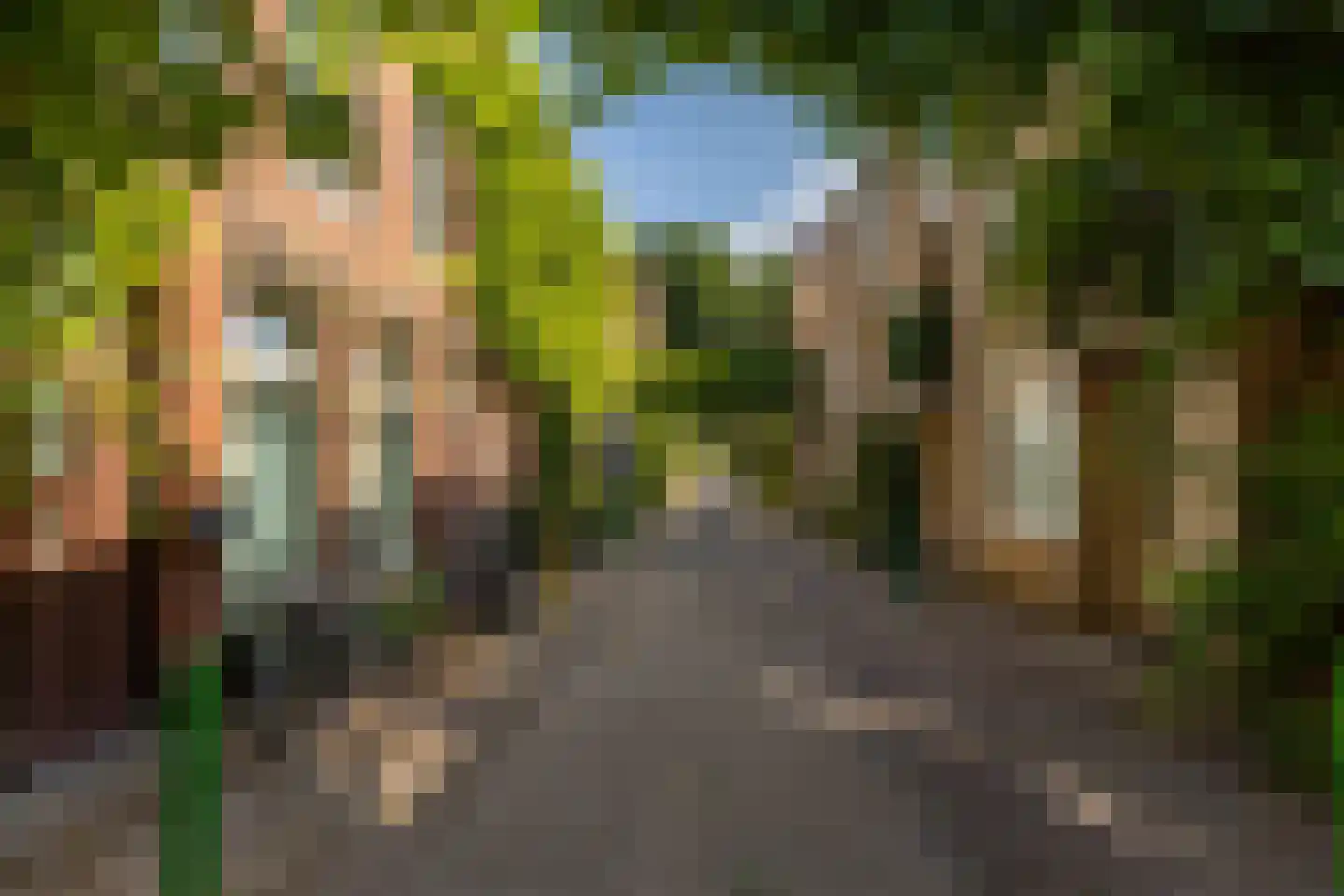 Tuinstraat 38 Groningen thumbnail 16