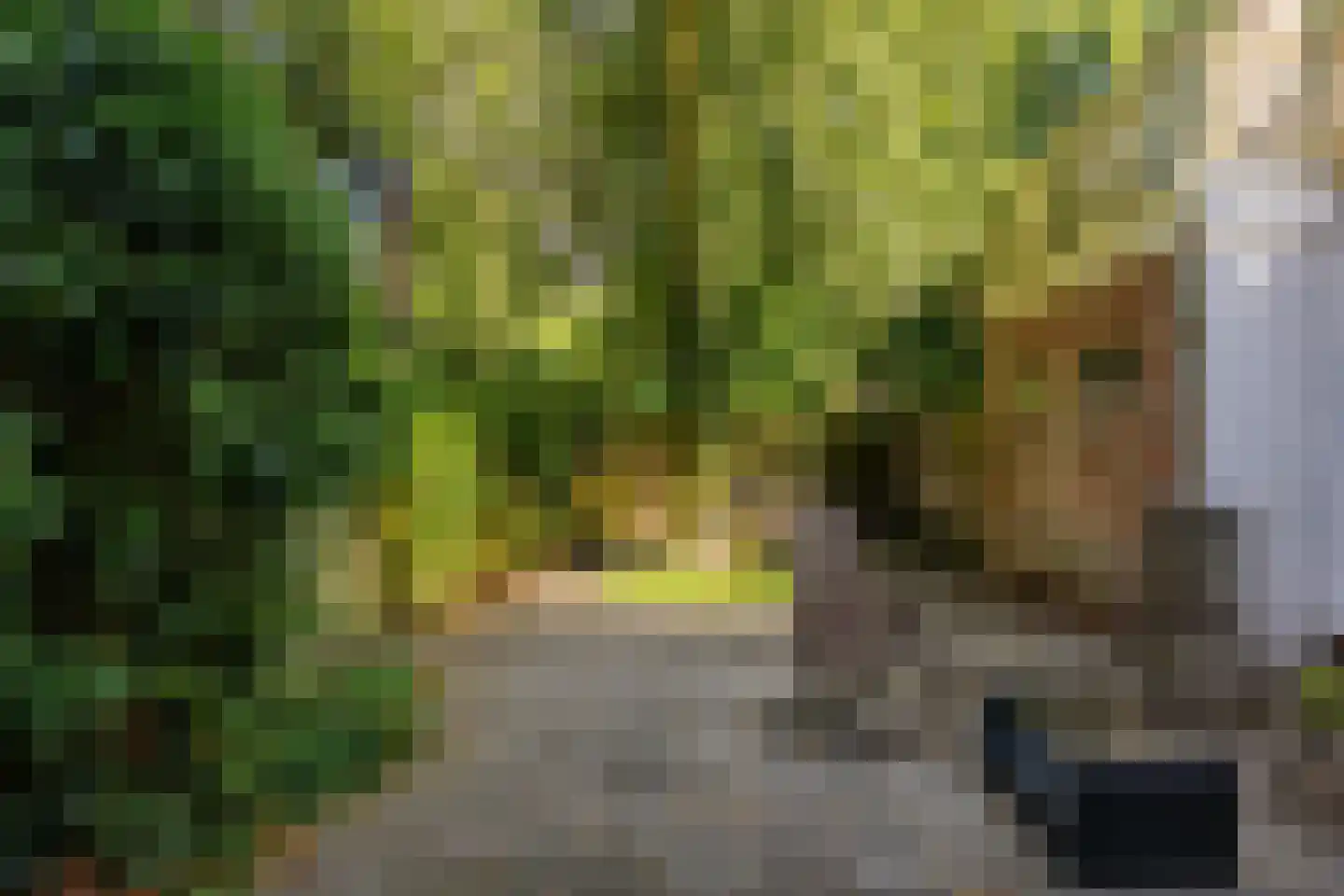 Tuinstraat 38 Groningen thumbnail 19
