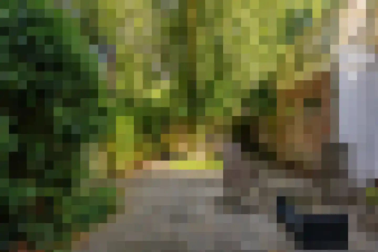 Tuinstraat 38 Groningen thumbnail 29