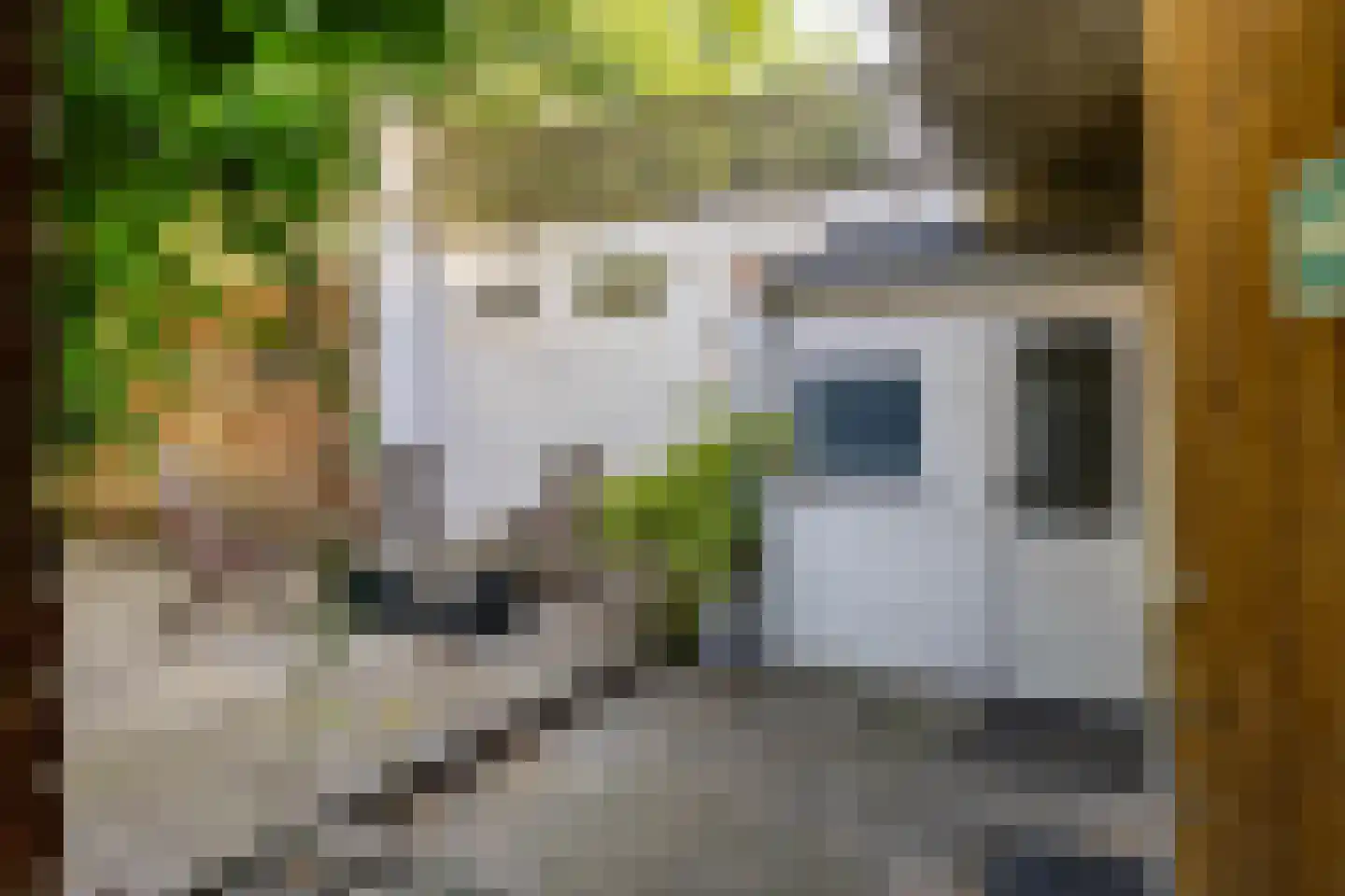 Tuinstraat 38 Groningen thumbnail 30