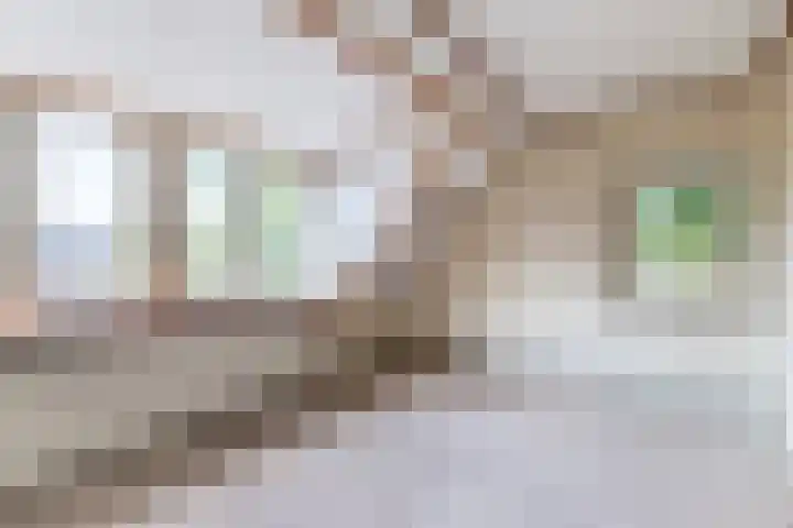 Tuinstraat 39 Nijkerk thumbnail 15