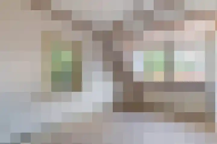 Tuinstraat 39 Nijkerk thumbnail 17