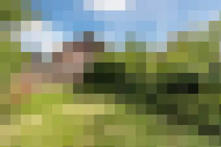 Tuinstraat 39 Nijkerk thumbnail 25