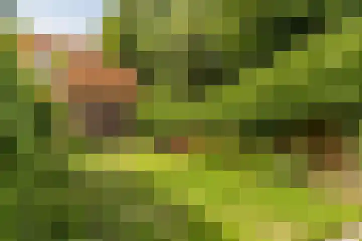 Tuinstraat 39 Nijkerk thumbnail 27