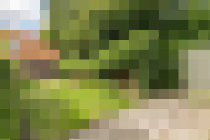 Tuinstraat 39 Nijkerk thumbnail 28
