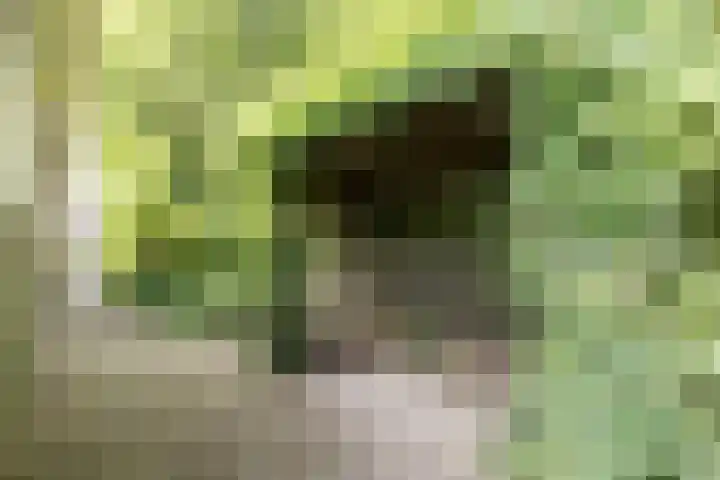 Tuinstraat 39 Nijkerk thumbnail 29