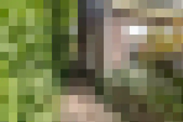Tuinstraat 39 Nijkerk thumbnail 31