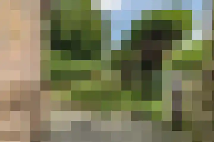 Tuinstraat 39 Nijkerk thumbnail 32