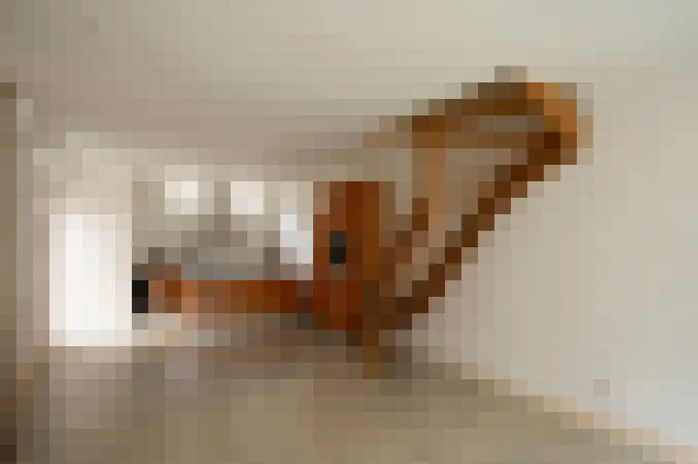 Tuinstraat 4 Alphen aan den Rijn thumbnail 5