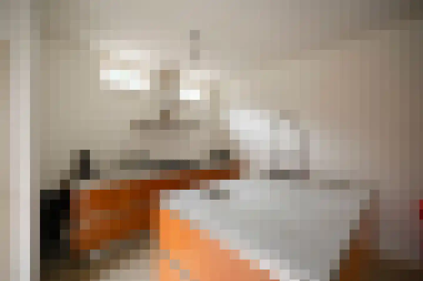 Tuinstraat 4 Alphen aan den Rijn thumbnail 7